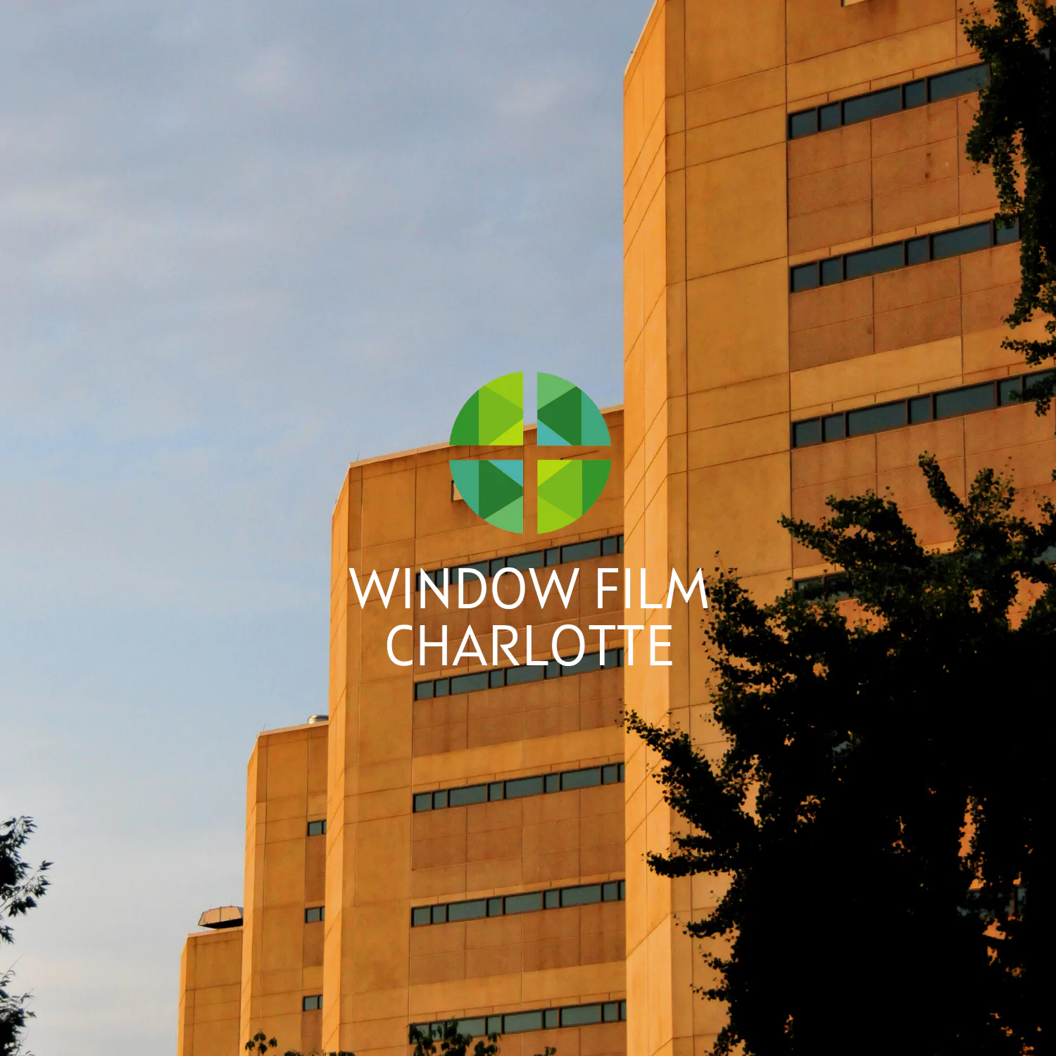 government building window film charlotte